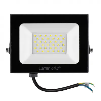 Светодиодный прожектор LFL-50W/05 50Вт 5700К IP65 Luminarte 